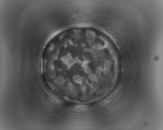 X0000097911171200804041454