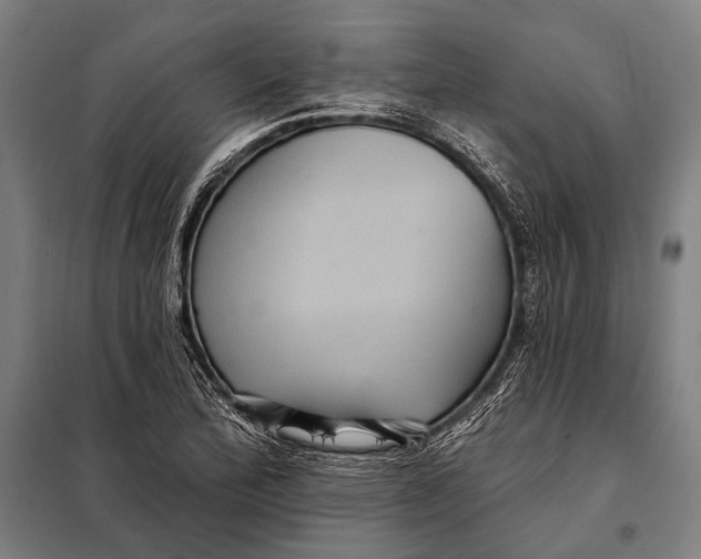 X0000097911172200804041454