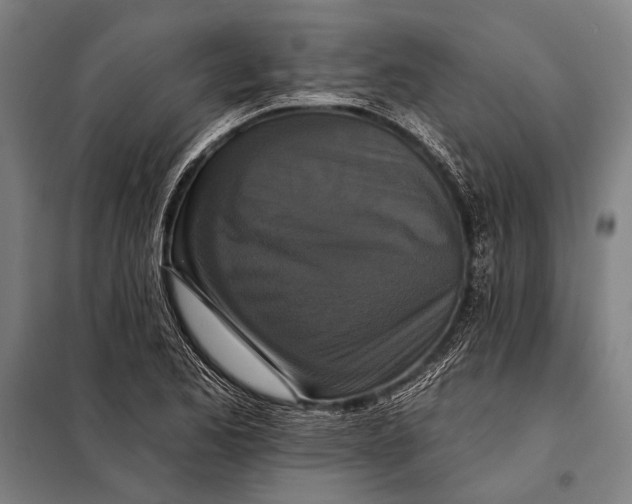 X0000097911173200804041454