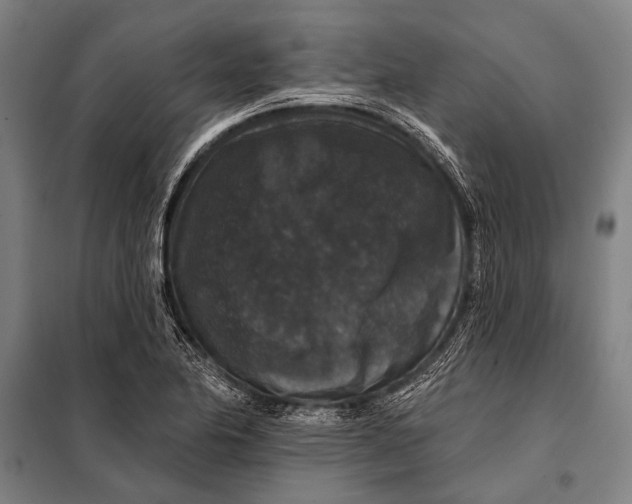 X0000097911174200804041454