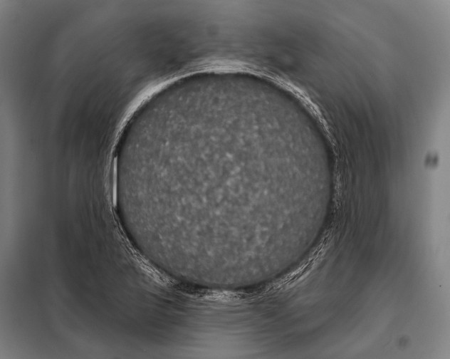 X0000097911175200804041454