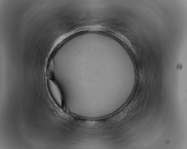 X0000097911176200804041454