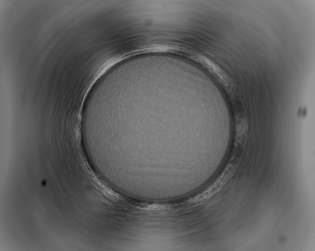 X0000097911178200804041454