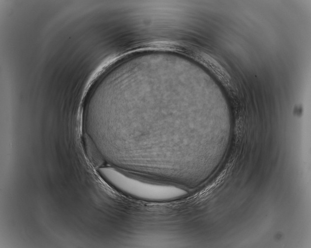 X0000097911180200804041454