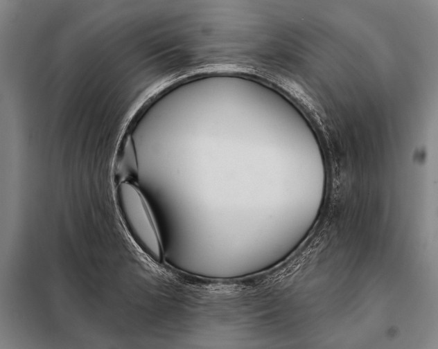 X0000097911181200804041454