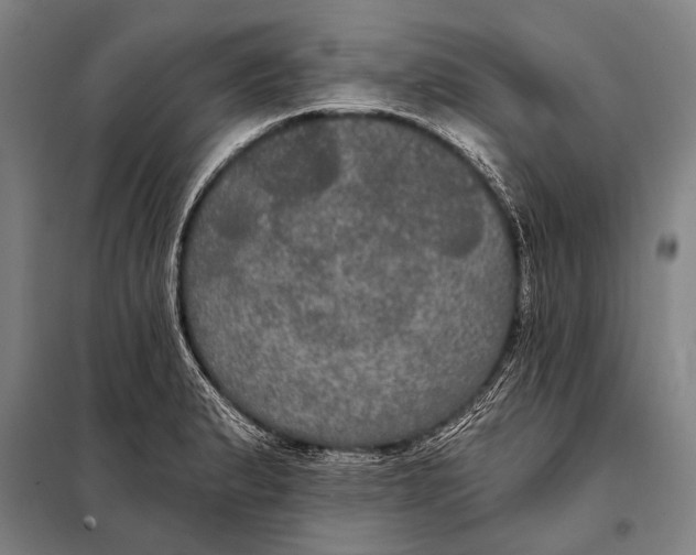 X0000097911183200804041454