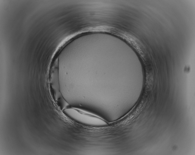 X0000097911184200804041454