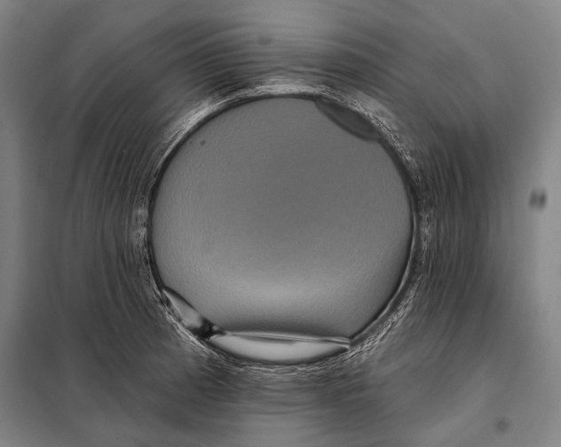 X0000097911185200804041454