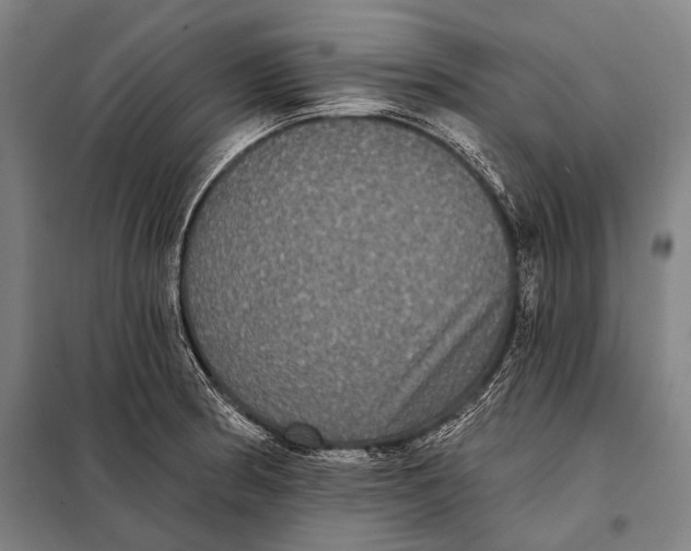 X0000097911186200804041454