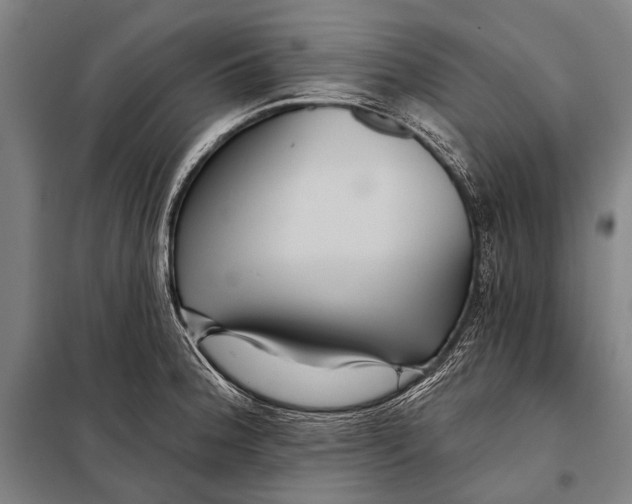 X0000097911188200804041454