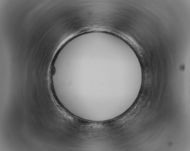 X0000097911190200804041454