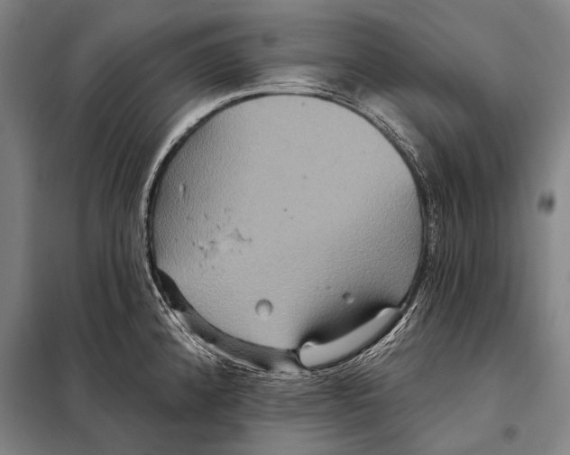 X0000097911192200804041454