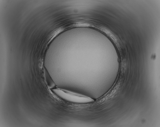 X0000097911193200804041454