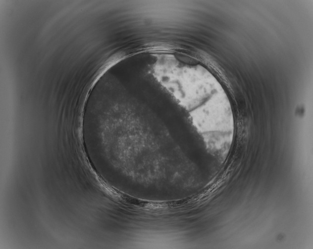 X0000097911194200804041454