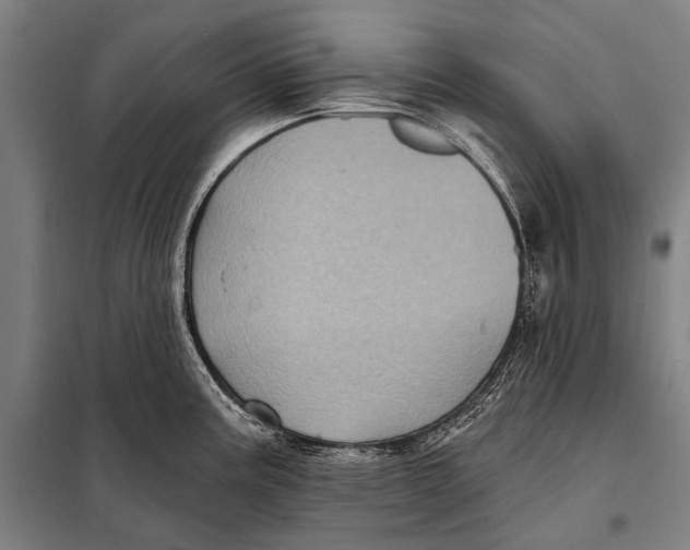 X0000097911195200804041454