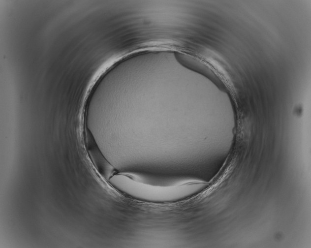 X0000097911196200804041454