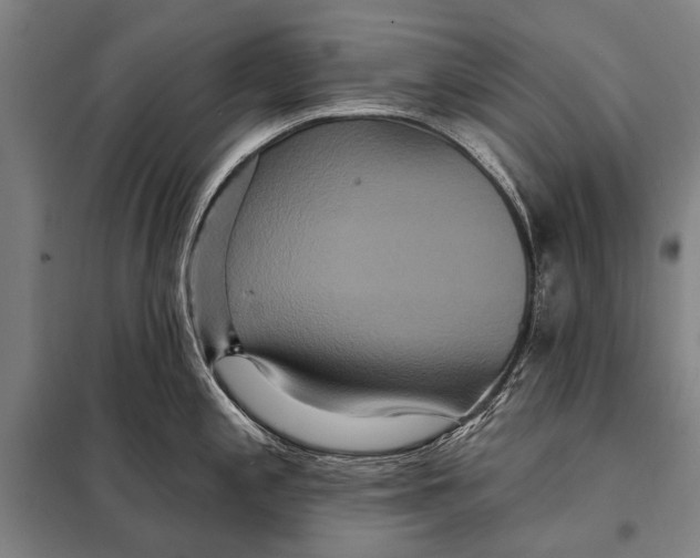 X0000097911197200804041454