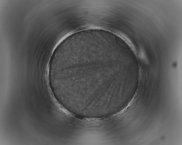 X0000097911198200804041454