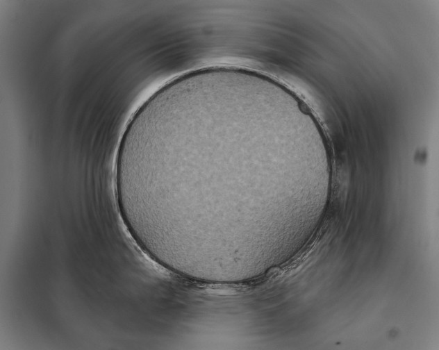 X0000097911199200804041454