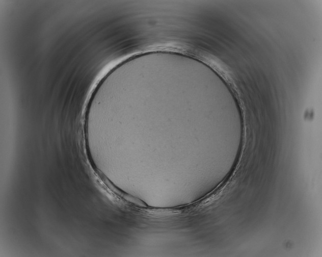 X0000097911200200804041454