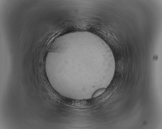 X0000097911201200804041453