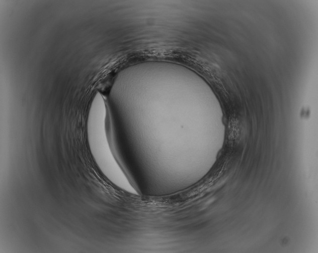 X0000097911202200804041453