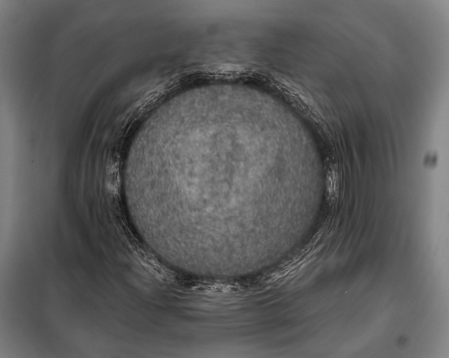 X0000097911204200804041453