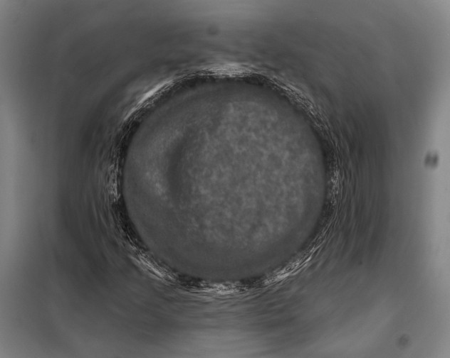 X0000097911205200804041453