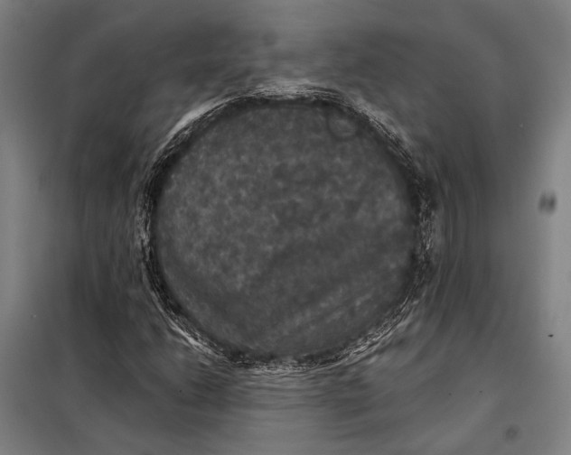 X0000097911206200804041453