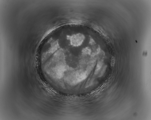 X0000097911208200804041453