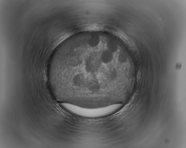 X0000097911209200804041453