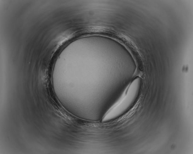 X0000097911210200804041453