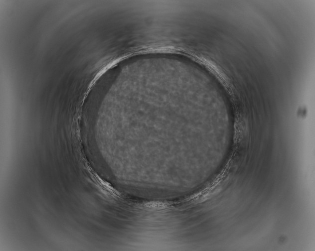 X0000097911212200804041453