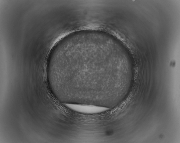 X0000097911214200804041453