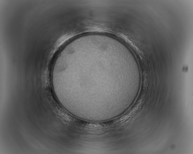 X0000097911215200804041453