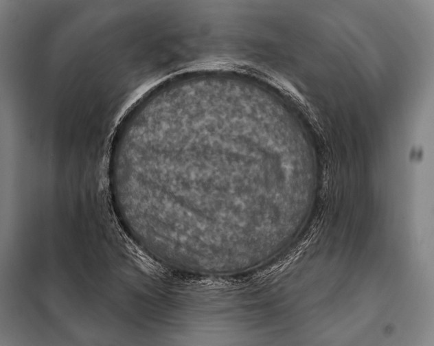 X0000097911216200804041453