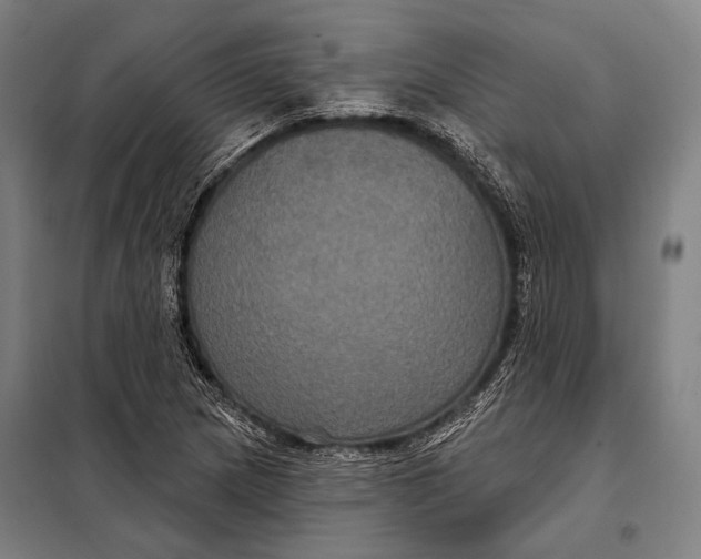 X0000097911217200804041453