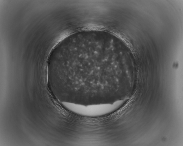 X0000097911219200804041453