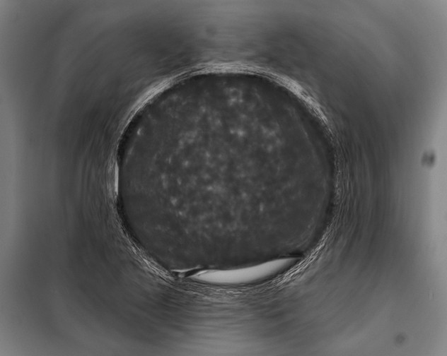 X0000097911221200804041453