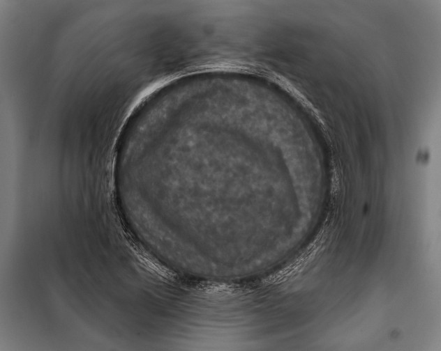 X0000097911222200804041453