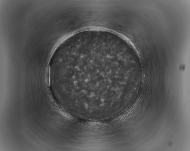 X0000097911223200804041453