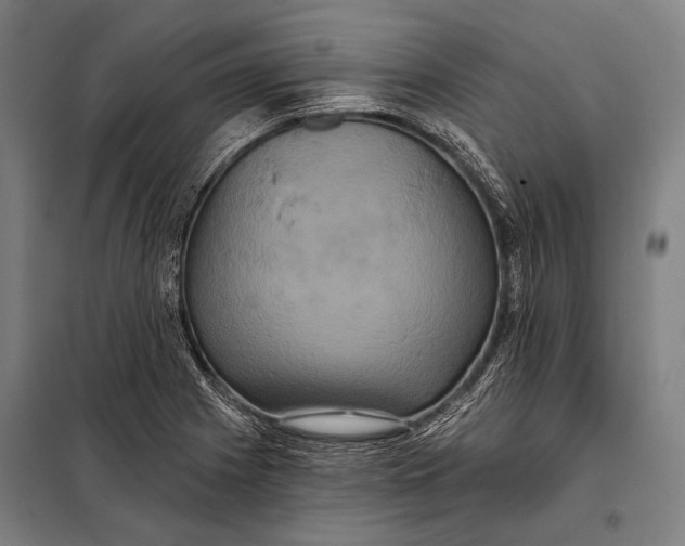 X0000097911225200804041453