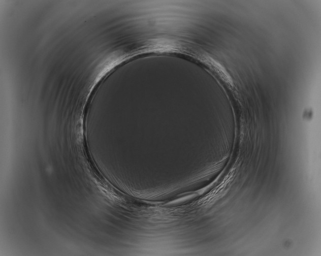 X0000097911226200804041453