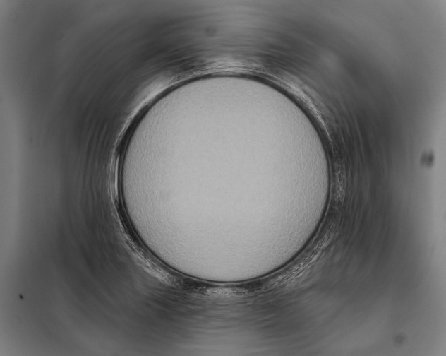 X0000097911227200804041453