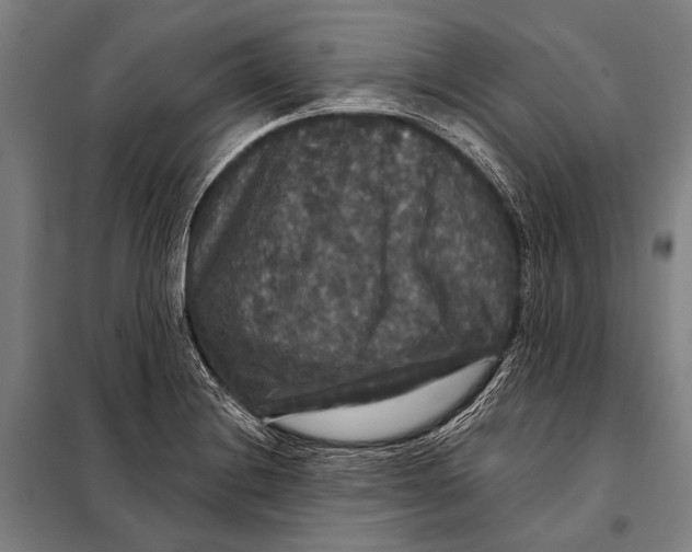 X0000097911228200804041453