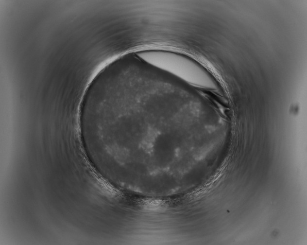 X0000097911230200804041453