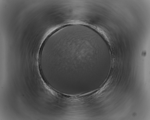 X0000097911231200804041453