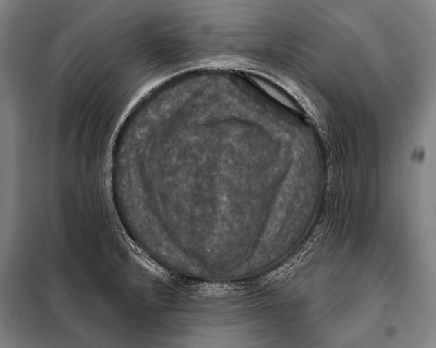 X0000097911232200804041453