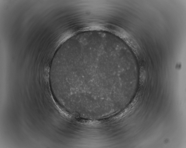 X0000097911233200804041454