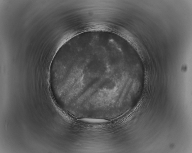 X0000097911234200804041454